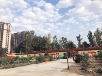 威县星光养老院环境图片