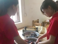 广宁县坑口镇敬老院活动图片
