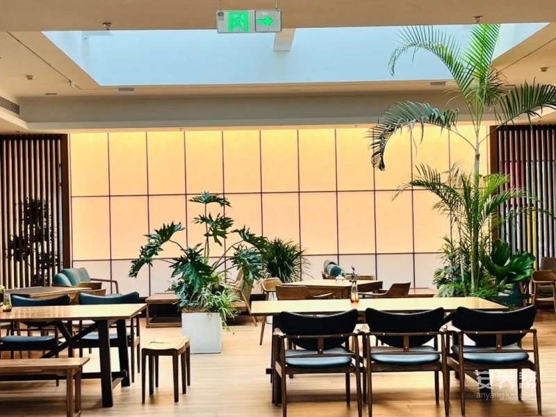 半壁店·长者照护之家 环境与房间实拍