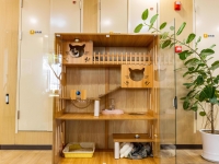 苏康养·竹辉养老院·美邸照护中心环境图片