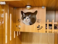 苏康养·竹辉养老院·美邸照护中心环境图片