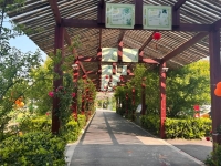 靖江市心诚护理院环境图片