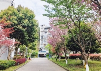 重庆市开州区宜嘉南山养老服务中心环境图片