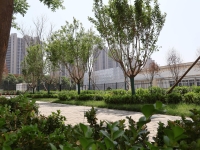 西安经开区公办示范养老院（经发芳华苑养老院）环境图片
