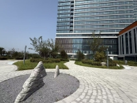 济南树兰医康养护中心环境图片