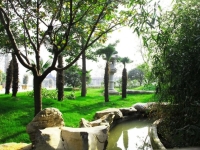 兰陵县仁和养老护理中心环境图片