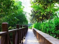 兰陵县仁和养老护理中心环境图片