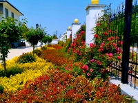 兰陵镇中心敬老院环境图片