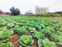 自流井区仲权镇敬老院环境图片
