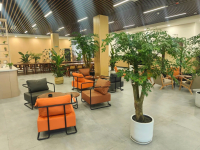 都江堰奎光塔街道养老服务综合体环境图片