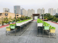 成华区宏明怡倍康养老中心环境图片