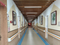 平阴金桔乐善护理院环境图片