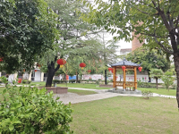 惠汉盈通六指甘棠福利院（福星苑）环境图片